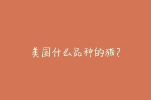 美国什么品种的猫？-动物百科