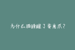为什么猫睡醒了要磨爪？-动物百科