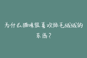 为什么猫咪很喜欢舔毛绒绒的东西?-动物百科