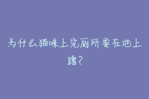 为什么猫咪上完厕所要在地上蹭?-动物百科