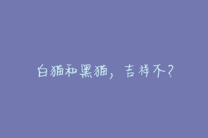 白猫和黑猫,吉祥不?-动物百科