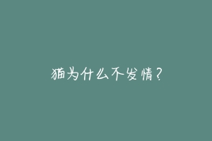 猫为什么不发情？-动物百科
