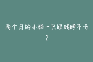 两个月的小猫一只眼睛睁不开?-动物百科