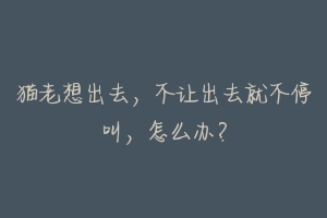 猫老想出去,不让出去就不停叫,怎么办?-动物百科