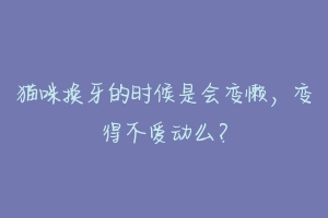 猫咪换牙的时候是会变懒,变得不爱动么?-动物百科