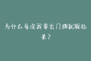 为什么每次我要出门猫就躲起来?-动物百科