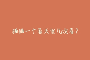 猫猫一个春天发几次春?-动物百科