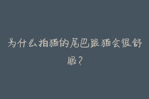 为什么拍猫的尾巴跟猫会很舒服?-动物百科