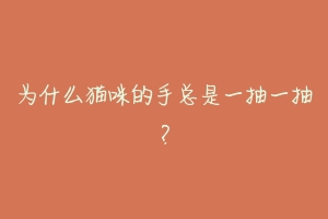 为什么猫咪的手总是一抽一抽?-动物百科