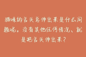猫咪的舌头总伸出来是什么问题呢。没有其他任何情况、就是把舌头伸出来？-动物百科