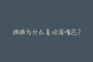 猫猫为什么喜欢闻嘴巴？-动物百科