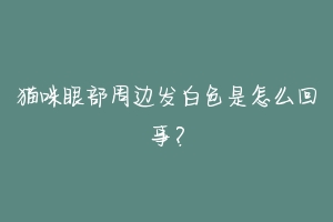 猫咪眼部周边发白色是怎么回事？-动物百科