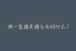 猫一直蹭来蹭去说明什么?-动物百科