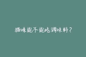 猫咪能不能吃调味料?-动物百科