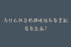 为什么独自把猫咪放在家里就容易生病?-动物百科