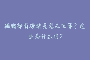 猫胸部有硬块是怎么回事?这是为什么吗?-动物百科