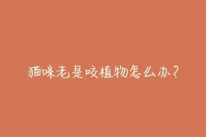 猫咪老是咬植物怎么办?-动物百科
