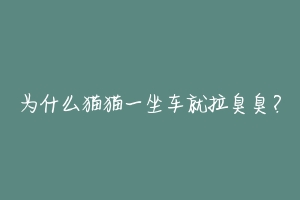 为什么猫猫一坐车就拉臭臭?-动物百科