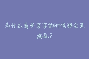 为什么看书写字的时候猫会来捣乱?-动物百科
