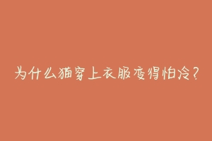 为什么猫穿上衣服变得怕冷?-动物百科