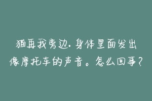 猫再我旁边. 身体里面发出像摩托车的声音。怎么回事?-动物百科