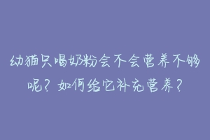 幼猫只喝奶粉会不会营养不够呢?如何给它补充营养?-动物百科