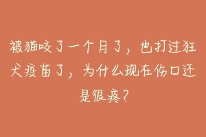 被猫咬了一个月了,也打过狂犬疫苗了,为什么现在伤口还是很疼?-动物百科