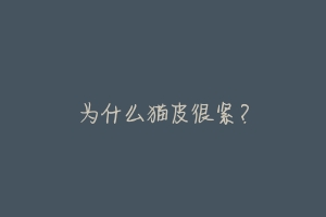 为什么猫皮很紧?-动物百科