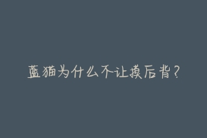 蓝猫为什么不让摸后背?-动物百科