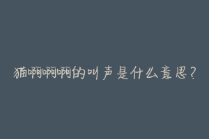 猫啊啊啊的叫声是什么意思？-动物百科