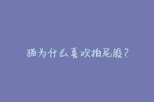 猫为什么喜欢拍屁股？-动物百科