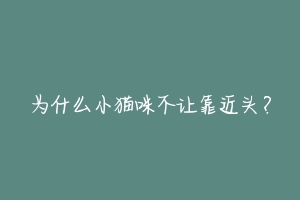为什么小猫咪不让靠近头？-动物百科