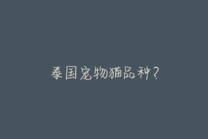 泰国宠物猫品种?-动物百科