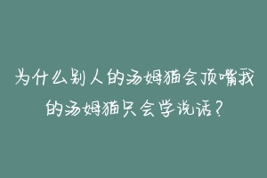 为什么别人的汤姆猫会顶嘴我的汤姆猫只会学说话?-动物百科