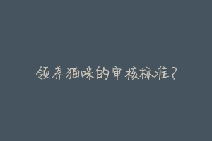 领养猫咪的审核标准?-动物百科