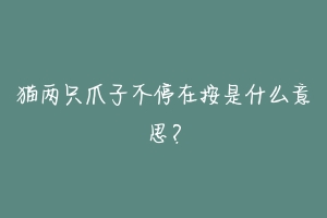 猫两只爪子不停在按是什么意思?-动物百科