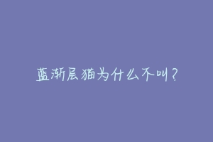蓝渐层猫为什么不叫?-动物百科