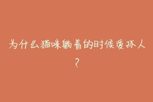 为什么猫咪躺着的时候爱抓人?-动物百科