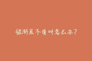 银渐层不爱叫怎么办?-动物百科