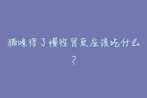 猫咪得了慢性肾衰应该吃什么?-动物百科