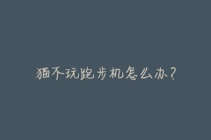 猫不玩跑步机怎么办?-动物百科