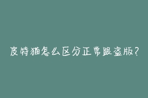 皮特猫怎么区分正常跟盗版?-动物百科