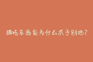 猫吃东西前为什么爪子刨地?-动物百科