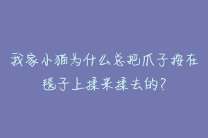 我家小猫为什么总把爪子按在毯子上揉来揉去的？-动物百科