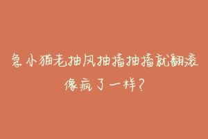 急小猫老抽风抽搐抽搐就翻滚像疯了一样？-动物百科