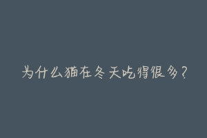 为什么猫在冬天吃得很多?-动物百科