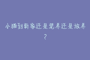 小猫到新家还是笼养还是放养?-动物百科