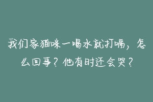 我们家猫咪一喝水就打嗝,怎么回事?他有时还会哭?-动物百科
