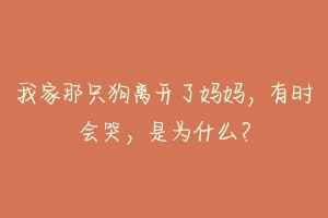 我家那只狗离开了妈妈，有时会哭，是为什么？-动物百科