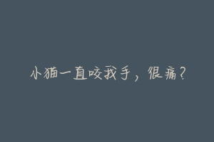 小猫一直咬我手，很痛？-动物百科